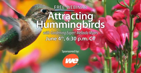 A green, white and brown hummingbird, flying next to pink flowers. Text with event details overlays the image.
