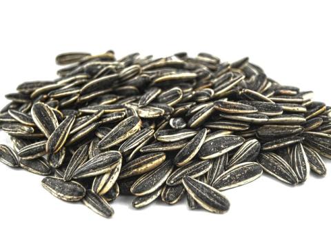 Assorted sunflower seeds