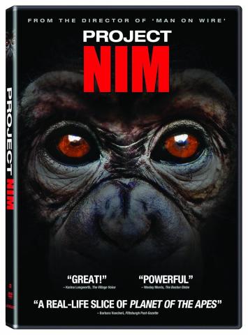 DVD cover for "Project Nim": A close-up of a chimpanzee's face