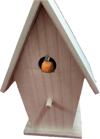 Wooden bird house with a robin