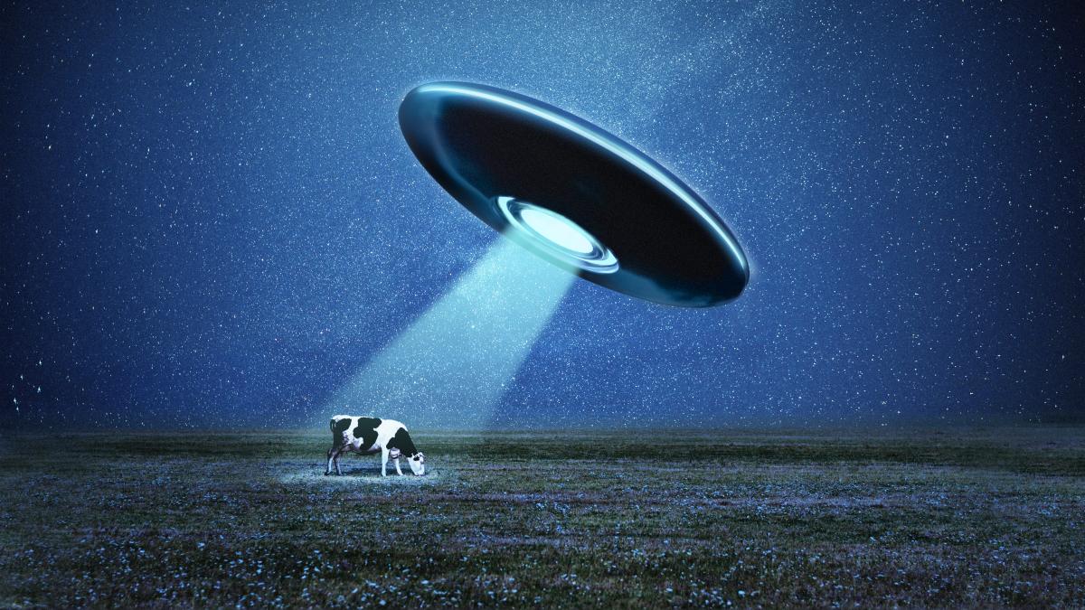 UFO abducting a cow